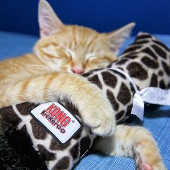 KONG Cat Kickeroo alternative