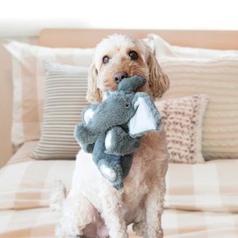 KONG Comfort Kiddos Bear alternative