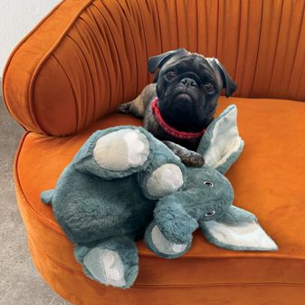 KONG Comfort Kiddos Jumbo Elephant alternative