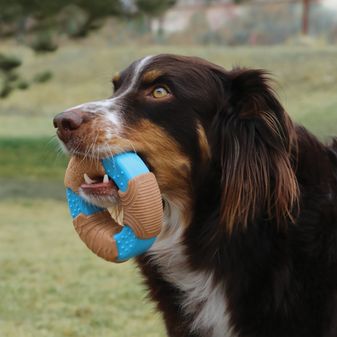 KONG Corestrength Bamboo Bone alternative