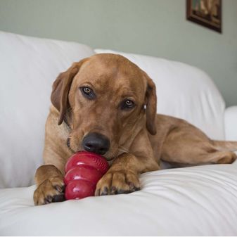 KONG Snacks (Liver) alternative