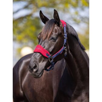 LeMieux Vogue Fleece Headcollar &amp; Leadrope (Burgundy/Navy) alternative