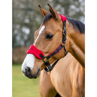 LeMieux Vogue Fleece Headcollar &amp; Leadrope (Chilli/Black) alternative