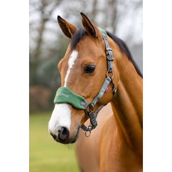 LeMieux Vogue Fleece Headcollar &amp; Leadrope (Hunter Green) alternative