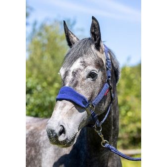 LeMieux Vogue Fleece Headcollar &amp; Leadrope (Ink Blue/Navy) alternative