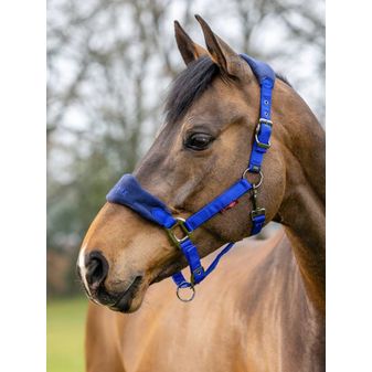 LeMieux Vogue Fleece Headcollar &amp; Leadrope (Navy/Royal Blue) alternative