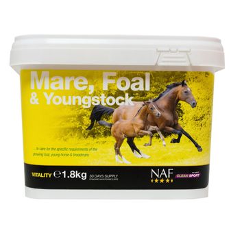NAF Mare Foal &amp; Youngstock
