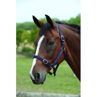 Roma Headcollar &amp; Lead Set (Navy)