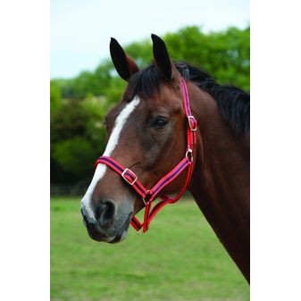 Roma Headcollar &amp; Lead Set (Red/Navy)