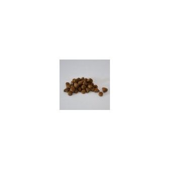Skinner's Field &amp; Trial (Puppy/Junior)  Lamb &amp; Rice 2.5kg alternative