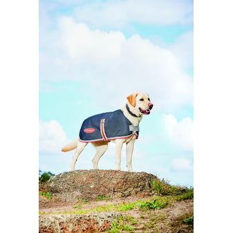 Weatherbeeta Comfitec 1200d Therapy-Tec Dog Coat (Black/Silver/Red) alternative
