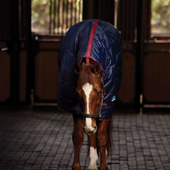 Weatherbeeta Comfitec 210d Channel Quilt Stable Combo 220g (Navy/Burgundy) alternative