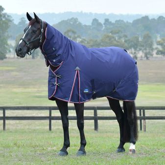 Weatherbeeta Comfitec Essential Turnout Combo 220g (Navy/Burgundy)
