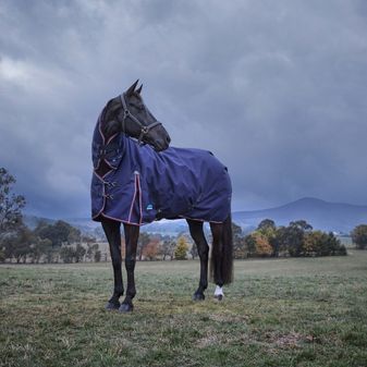 Weatherbeeta Comfitec Essential Turnout Combo 360g (Navy/Burgundy) alternative