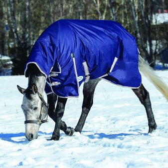 Weatherbeeta Comfitec Essential Turnout Rug Combo Neck 360g Heavyweight Turnout (Navy/Silver/Red) alternative