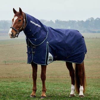Weatherbeeta Comfitec Plus Dynamic Detach-a-Neck Turnout 100g (Navy/Forest Green)