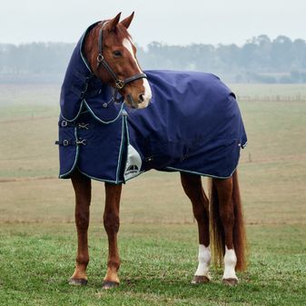 Weatherbeeta Comfitec Plus Dynamic Detach-a-Neck Turnout 100g (Navy/Forest Green) alternative