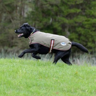 Weatherbeeta Comfitec Premier Free Parka Dog Coat 200g Medium (Olive Green/Burgundy/White) alternative