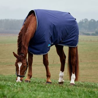 Weatherbeeta Comfitec Tyro Standard Neck Turnout 220g (Navy/Charcoal) alternative