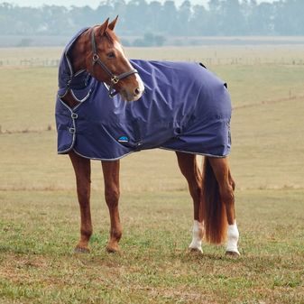 Weatherbeeta Comfitec Tyro Turnout Combo 220g (Navy/Charcoal) alternative