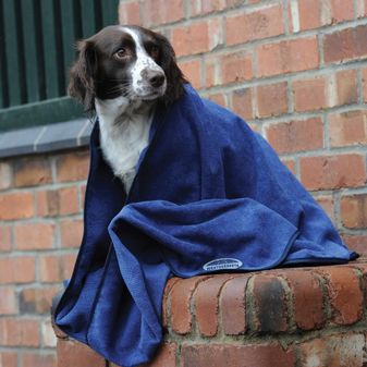 Weatherbeeta Dog Towel (Blue) alternative