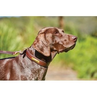 Weatherbeeta Padded Leather Dog Collar (Tan) alternative