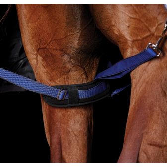 Weatherbeeta Padded Leg Straps