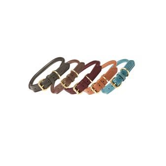 Weatherbeeta Rolled Leather Dog Collar (Teal) alternative