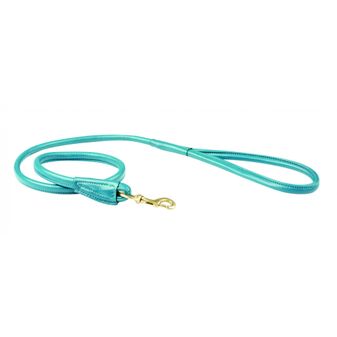 Weatherbeeta Rolled Leather Dog Lead (Teal)