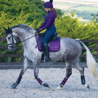 Woof Wear Club Brushing Boot Colour Fusion (Damson) alternative