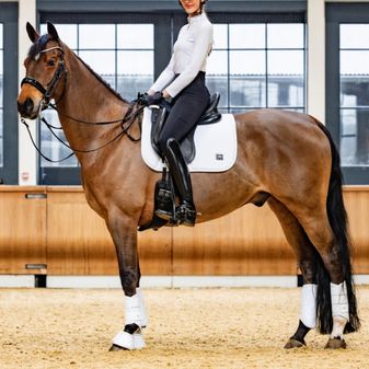 Woof Wear Elite Comfort Mesh Dressage Saddlepad (White) alternative