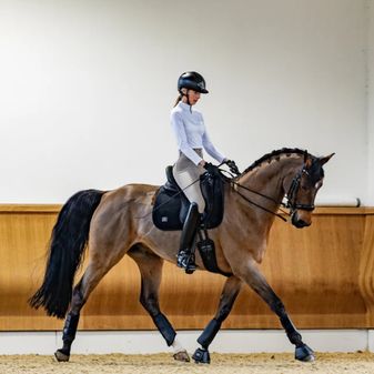 Woof Wear Elite Comfort Plus Dressage Saddlepad (Black) alternative