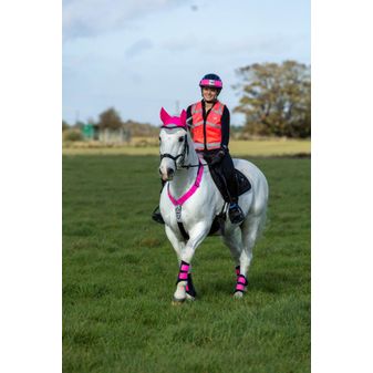Woof Wear High Viz Riding Vest (Pink) - Not Certified alternative