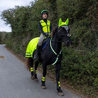 Woof Wear LED Neck Band (Hi Viz Yellow) alternative