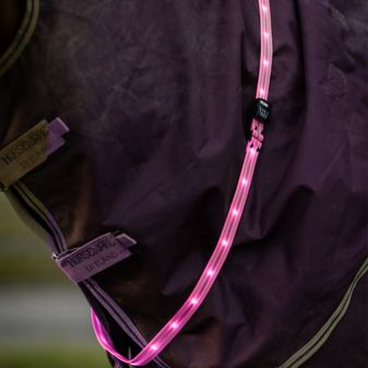 Woof Wear LED Sash (Hi Vis Pink)