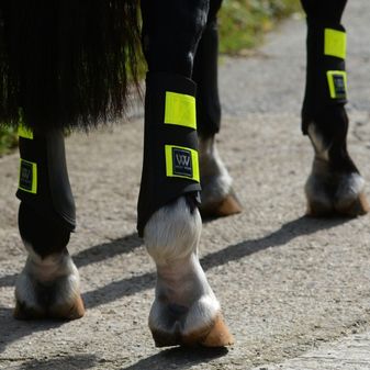 Woof Wear Reflective Club Boot (Reflective) alternative