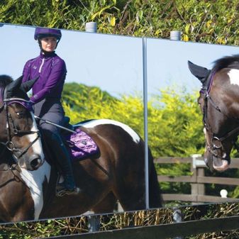 Woof Wear Young Rider Pro Performance Shirt (Damson) alternative