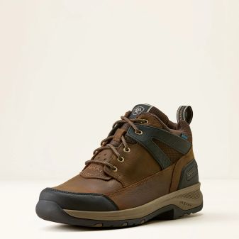 Ariat Mens Terrain Trek H2O (Dark Chocolate)