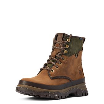 Ariat Women's Moresby H20 Lace Boot (Oily Distressed Brown/Olive)