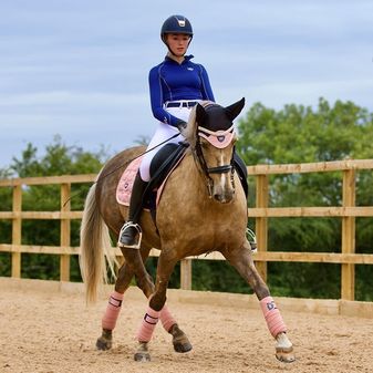 *OUTLET* Woof Wear Vision Dressage Saddle Cloth (Rose Gold) alternative