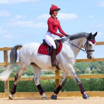 *OUTLET* Woof Wear Vision Fly Veil (Shiraz) alternative