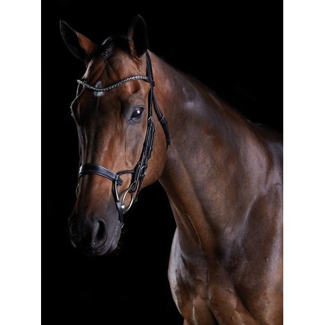 Bridles