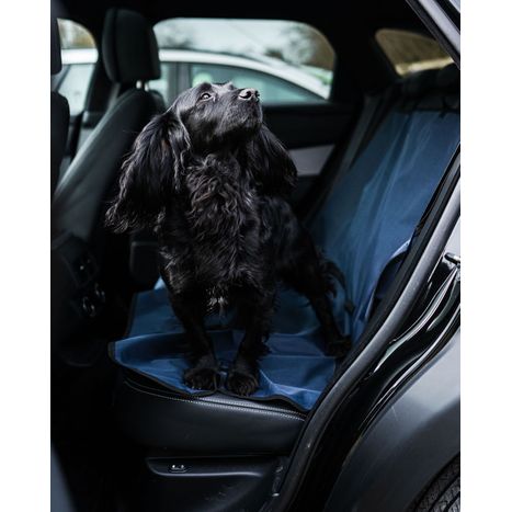 Car Accessories