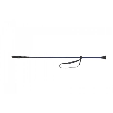 Lunging and Training Aids