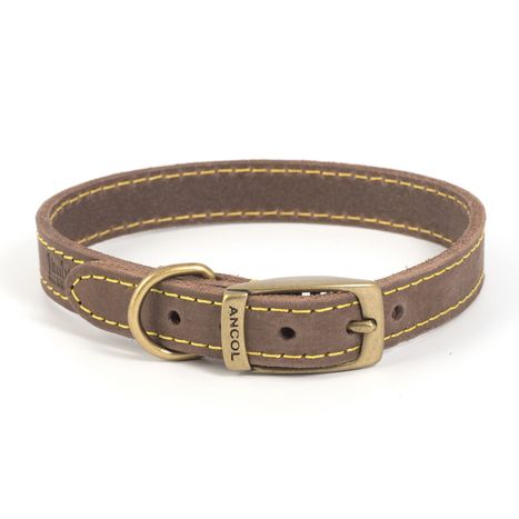Leads, Collars and Harnesses