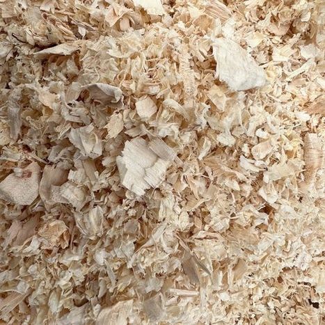 Horse Bedding