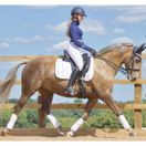 *OUTLET* Woof Wear Vision Polo Bandages (White) additional 3