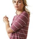 Ariat Womens Windsor T-Shirt (Nocturne Stripe) additional 3