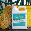 Absorbine Cooldown (946ml) additional 3