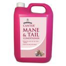 Carr &amp; Day &amp; Martin Canter Mane &amp; Tail Conditioner additional 4